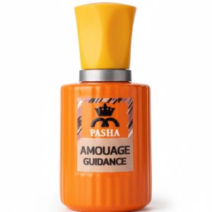 ادکلن آمواج گایدنس 30میل VIP پاشا